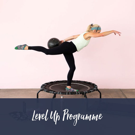 Level Up Programme