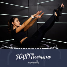  SCULPT Programme | Advanced